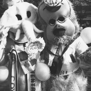 FA Cup Final Coventry City v Tottenham Hotspur Wembley 1987 Mascot Sky FA Cup Final Coventry City v Tottenham Hotspur Wembley 1987 Mascot Sky