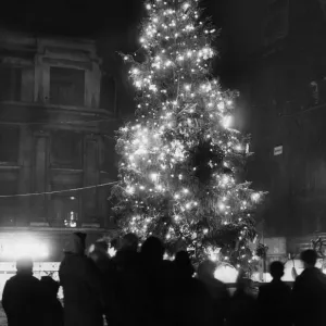 Christmas Tree Print circa 1954 Christmas Tree Print circa 1954