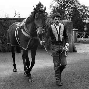 Famous racehorse Arkle being being walked around at the stables of Tom Dreaper