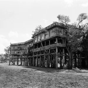 L'hôtel Treetops célèbre du parc national d'Aberdare au Kenya. Février 1971. L'hôtel Treetops célèbre du parc national d'Aberdare au Kenya. Février 1971.
