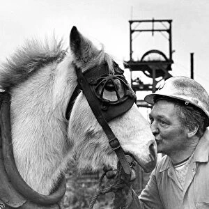 A farewell kiss for Pip from horse-keeper Alan Graham at Durhams Sacriston Colliery