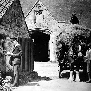Farmer Harold Robert Mapstone with Mr Green and Jack Humphreys on hay wagon Glastonbury