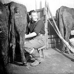 Farming in the Dairy house Milking time Women fulfilling Mens work duties
