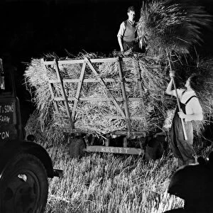 Farming: The harvest at Barn Farm, Hilton, Lichfield, being gathered in at night by light