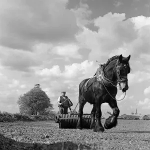 Farming in Lincolnshire. 27th April 1961