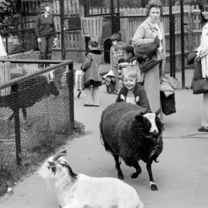 Crystal Palace Farmyard Print May 1975 Crystal Palace Farmyard Print May 1975