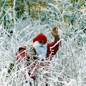 Father Christmas waves as he stand amongst snow covered plants December 1991 Father Christmas waves as he stand amongst snow covered plants December 1991