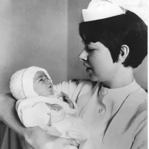 Dustbin Baby Print: Michelle Rooney's Birth Father Discovery Dustbin Baby Print: Michelle Rooney's Birth Father Discovery