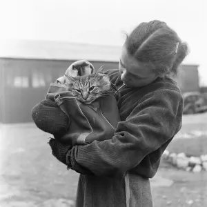 Print of a feline patient with her worried owner on the way to see the vet Print of a feline patient with her worried owner on the way to see the vet