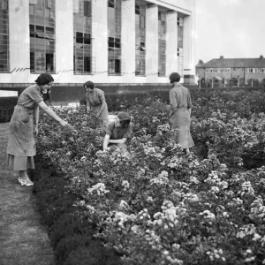 Female Hoover factory workers in a flower garden, Print Female Hoover factory workers in a flower garden, Print
