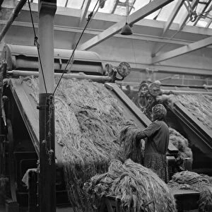Female worker breaking jute in Dundee Jute Mill, Dundee, Scotland. 16 October 1931