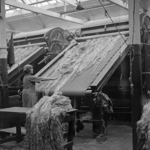 Female worker breaking jute in Dundee Jute Mill, Dundee, Scotland. 16 October 1931 Female worker breaking jute in Dundee Jute Mill, Dundee, Scotland. 16 October 1931