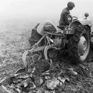 Ferguson TE20 Tractor Print circa 1953 Ferguson TE20 Tractor Print circa 1953