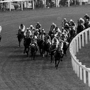 The Field as they take Tattenham Corner, The eventual winner of the Derby was Roberto