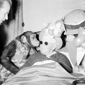 Fifi the Chimpanzee Print, Black and White Photograph