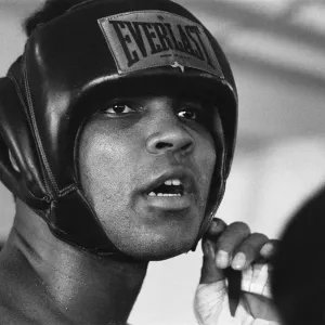The Fight of the Century (also known as The Fight) is the title boxing writers