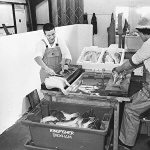 Filleting the catch at Brixham fish market in February 1988