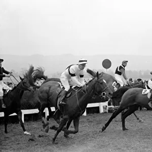First day of the Cheltenham Festival 1960. E. S. B leads the 2nd race