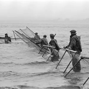 Fishermen fishing in the sea in Solway. The Solway Firth is a firth that forms part of Fishermen fishing in the sea in Solway. The Solway Firth is a firth that forms part of