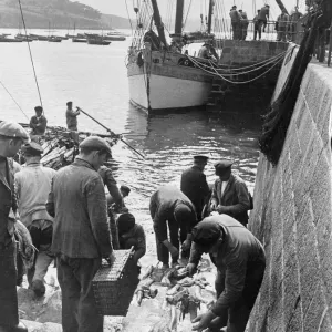 Fishermen prepare their bait before sailing from a fishing village in south coast of Fishermen prepare their bait before sailing from a fishing village in south coast of
