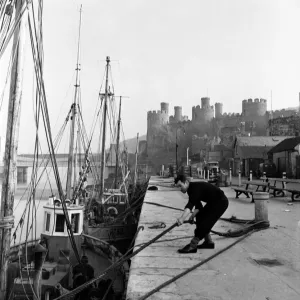 Fishermen ties up his fishing boats at Conway Castle. March 1953 D1229