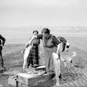 Fisherwomen of New Biggin, England inspect their catch Women fulfilling Mens work Fisherwomen of New Biggin, England inspect their catch Women fulfilling Mens work