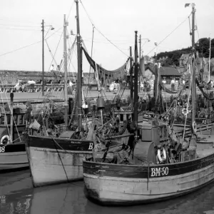 Brixham Fishing Fleet Print - Idle Harbour Scene