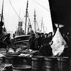 Fishing Industry at Hull. A fish market St Andrews Dock. April 1937