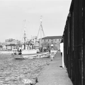 The fishing vessel William McCann Print, 30th September 1980 The fishing vessel William McCann Print, 30th September 1980