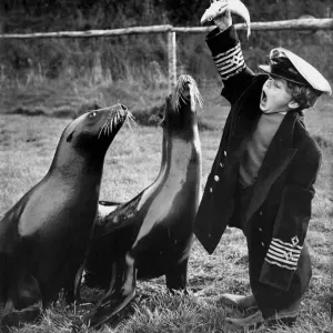 Flipper and Missy jumped to it as Captain Bruce, apprentice sea-lion trainer Flipper and Missy jumped to it as Captain Bruce, apprentice sea-lion trainer