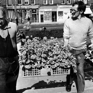 Flowers by the box load being carried into Stanley Park, Bootle Flowers by the box load being carried into Stanley Park, Bootle