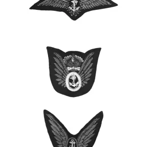 Vintage Print of British Fleet Air Arm Insignia