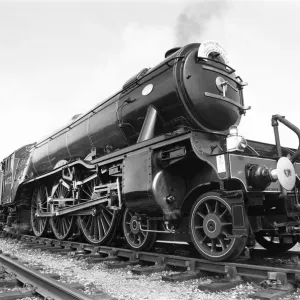 The Flying Scotsman arriving at Didcot, Oxfordshire. 15th June 1974 Gentle giant The Flying Scotsman arriving at Didcot, Oxfordshire. 15th June 1974 Gentle giant
