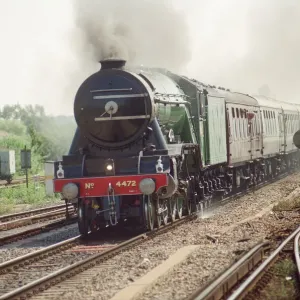 The Flying Scotsman Print - Berkshire/Oxfordshire 1999
