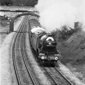 The Flying Scotsman Print - Didcot Journey, 15th June 1974