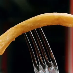 Food Chips circa 1994 Food Chips circa 1994