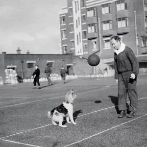 Football Freddie Steele ( Port Vale ) ex Mansfield Manager seen here Football Freddie Steele ( Port Vale ) ex Mansfield Manager seen here