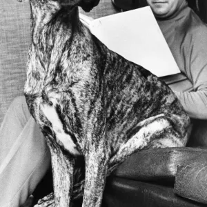 Fred the Great Dane Print (00005) Fred the Great Dane Print (00005)