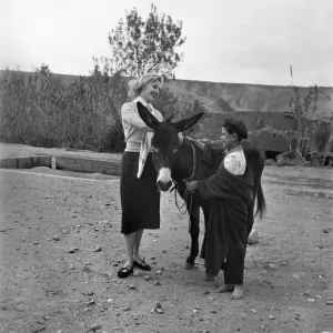 A French actress meets a local boy and his donkey in the countryside of Morocco