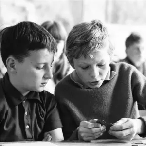 Forty French boys and girls aged between 9 - 11 from Boulogne are starting a