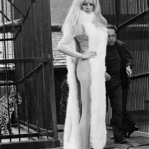 Brigitte Bardot at London Zoo, 15th September 1966 Print Brigitte Bardot at London Zoo, 15th September 1966 Print