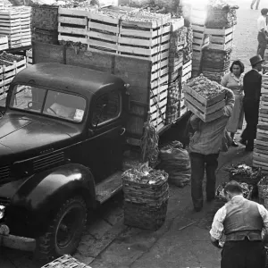 Fresh produce is off loaded at a Milan market. Circa 1955 Fresh produce is off loaded at a Milan market. Circa 1955