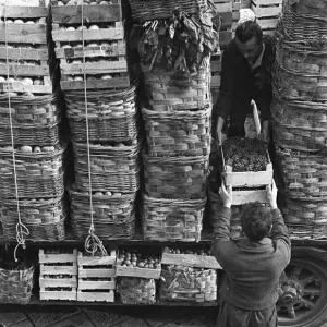 Fresh produce is off loaded at a Milan market. Circa 1955 Fresh produce is off loaded at a Milan market. Circa 1955