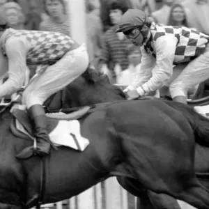 Fresh back from his successful win in the French Derby, Willie Carson rode at Lingfield