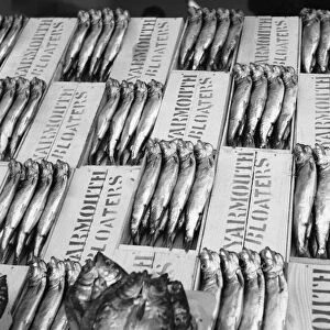 Freshly caught and lightly salted and smoked herring known as Yarmouth Bloaters