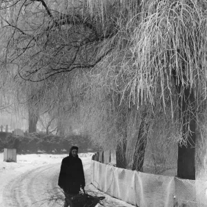 Frost Coated Trees Print, Handsworth Park, Birmingham 1959 Frost Coated Trees Print, Handsworth Park, Birmingham 1959
