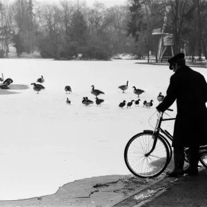 Frozen Lake, Cannon Hill Park, Birmingham, England, 12th February 1978 Frozen Lake, Cannon Hill Park, Birmingham, England, 12th February 1978