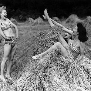 Fun in the barley fields in Dorking Holiday makers mucking around in the sunshine