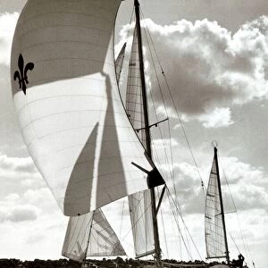 Gallant 53 with a fleur-de-lis symbol on its sail. 1967