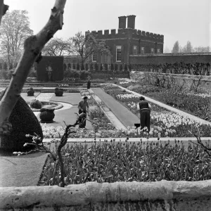 Jardiniers travaillant au palais de Hampton Court, Londres (anciennement Middlesex). Avril 1954. Jardiniers travaillant au palais de Hampton Court, Londres (anciennement Middlesex). Avril 1954.
